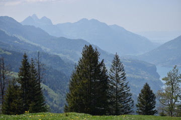Naturlandschaft in Flumserberg in der Schweiz 17.5.2020