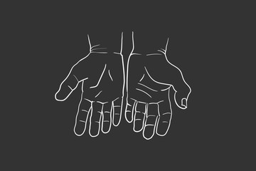 Hand gesture Vector sketch collection. Body language concept. Hands signs - interactive communication set. Hand in different positions. Arm gestures for showing and pointing, holding and representing.
