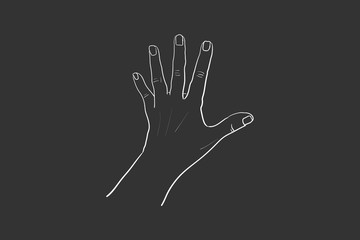 Hand gesture Vector sketch. Body language concept. Hand sign STOP - interactive communication set. Hand in different positions. Arm gestures for showing and pointing, holding and representing