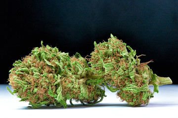 macro and detail of a natural marijuana bud, a very good quality resinous medicinal species