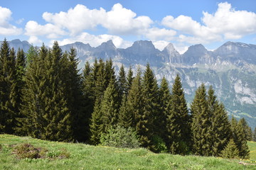 Naturlandschaft in Flumserberg in der Schweiz 17.5.2020