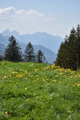 Naturlandschaft in Flumserberg in der Schweiz 17.5.2020