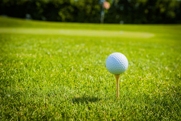 golf ball on golf green grass natural fairway
