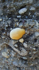 Large Smooth Yellow Stone Embedded in A Stony Wall With Other Stones Showing 