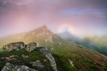 Brocken Spectre in the meadow among the highest mountains, fog and pink sky. Amazing spring...