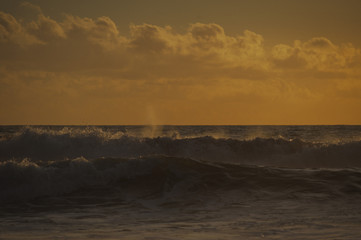 Obraz premium Magical dramatic sunset on a tropical beach.