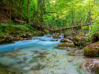 Bavarian wild river with surrounding green forest nature landscape