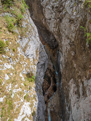 Bavarian wild river with surrounding green forest nature landscape