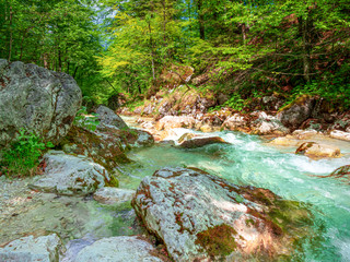 Naklejka na ściany i meble Bavarian wild river with surrounding green forest nature landscape