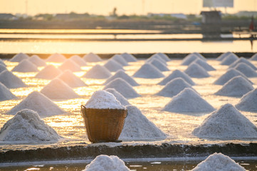 The salt in the basket is in the salt field. The morning sun on the salt farm in Thailand.