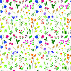 Fototapeta na wymiar Illustration of a seamless vector pattern of flowers and berries. Northern plants, raspberries, aspen, poppy, bluebell, lingonberry, moss, cornflower, fern isolated on white background. Botany. 
