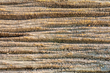 Old wooden texture background or abstract background, Pattern nature
