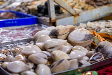 closed beige seashells lie on a metal tray on a fish market counter
