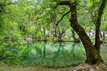 Lake in Krka National Park, Croatia