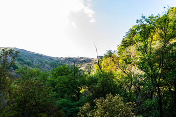 Obraz premium Almajului mountains, Banat, mountain landscape, water mills area. Rudaria, Eftimie Murgu, Romania. 