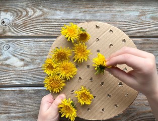 Step by step, how to make a children's craft, a picture of dandelions.