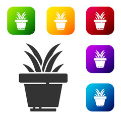 Black Flower in pot icon isolated on white background. Plant growing in a pot. Potted plant sign. Set icons in color square buttons. Vector