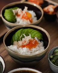 Japanese donburi, bowl of rice with toppings