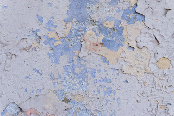 Obraz premium old craced blue paint on a door with white gaps. texture, background