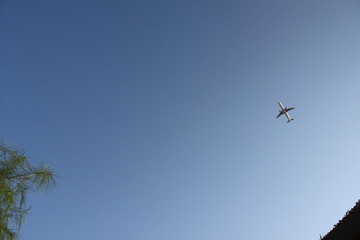 airplane in the sky