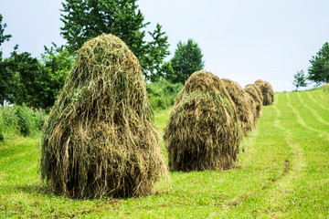 Rural landscape with haystacks in Gura Humorului, Romania.
