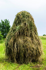 Rural landscape with haystacks in Gura Humorului, Romania.