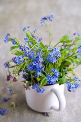 Bouquet of blue, pink and white forget-me-nots in a white ceramic mug on a gray concrete background. Spring flowers.