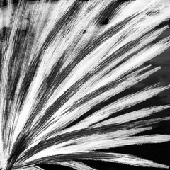 Obraz premium Black and white brush strokes for a background