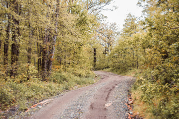 Naklejka premium country road in autumn
