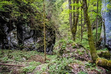 Huciaky gorge, Low Tatras mountains, Slovakia