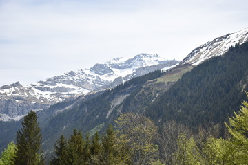 Klausenpass in der Schweiz Berglandschaft 8.5.2020