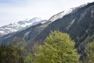 Klausenpass in der Schweiz Berglandschaft 8.5.2020