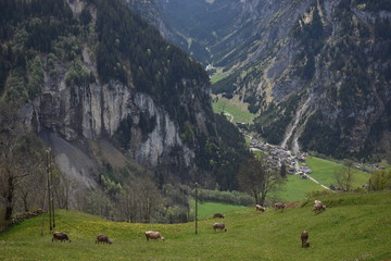 Klausenpass in der Schweiz Berglandschaft 8.5.2020