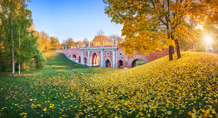 Fototapeta premium Мост через овраг и осенние листья in Tsaritsyno park in Moscow among colorful autumn trees and autumn leaves on the grass