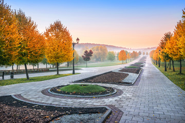 Осенняя Аллея в Царицыно Autumn alley  in Tsaritsyno park