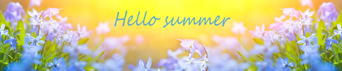 Hello summer banner. Hello summer text on a floral background. Hello summer. Hello, new season. Muscari flowers. Purple flowers