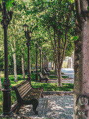 Beautiful summer alley with lanterns and benches