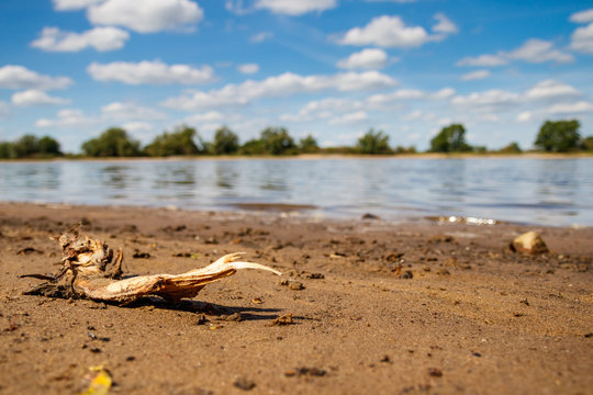 Elbe bei Bleckede