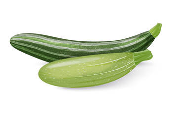 vegetable marrow and zucchini, two varieties. Fresh vegetables isolated on a white background. Vector illustration.