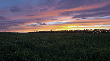 dramatic sunset over the field