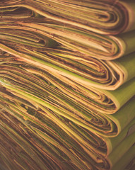 Banana leaf detail are use un traditional dishes in Mexico, 
Banana leaves for wrapping or serving...