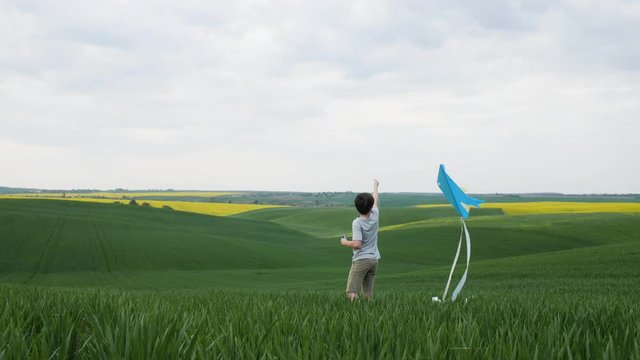 A boy in a green field with grass tries to catch a stream of air to launch a kite.