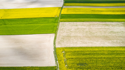 farmlands in the afternoon light from a drone © Krzysztof