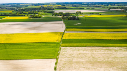 farmlands in the afternoon light from a drone © Krzysztof