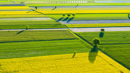 farmlands in the afternoon light from a drone © Krzysztof
