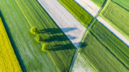 farmlands in the afternoon light from a drone © Krzysztof