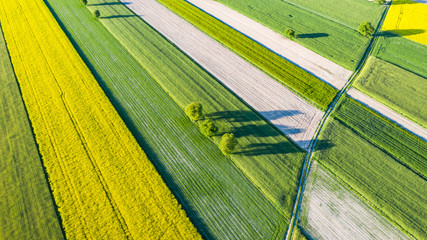 farmlands in the afternoon light from a drone © Krzysztof