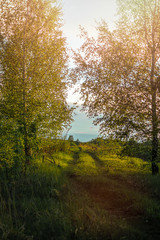 spring landscape at sunset, spring, road