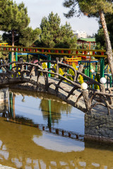 Summer park in a green forest with bright sun