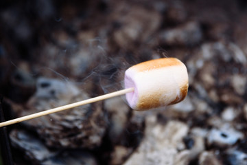 
closeup of hot appetizing marshmallows baked on a bonfire on a wooden stick with smoke on the background of bonfire coals